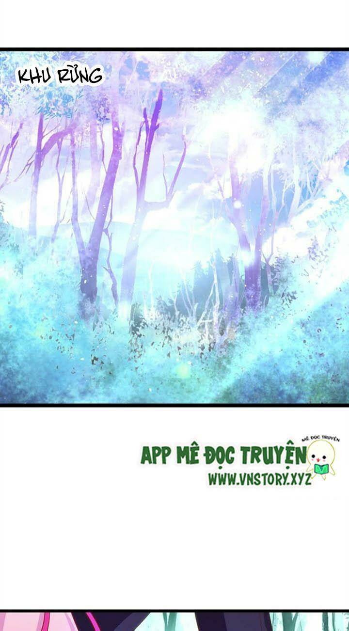 Chapter 146