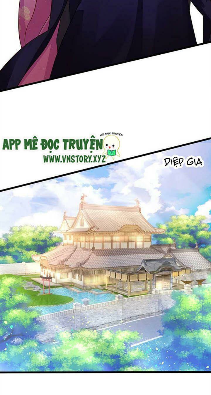 Chapter 146