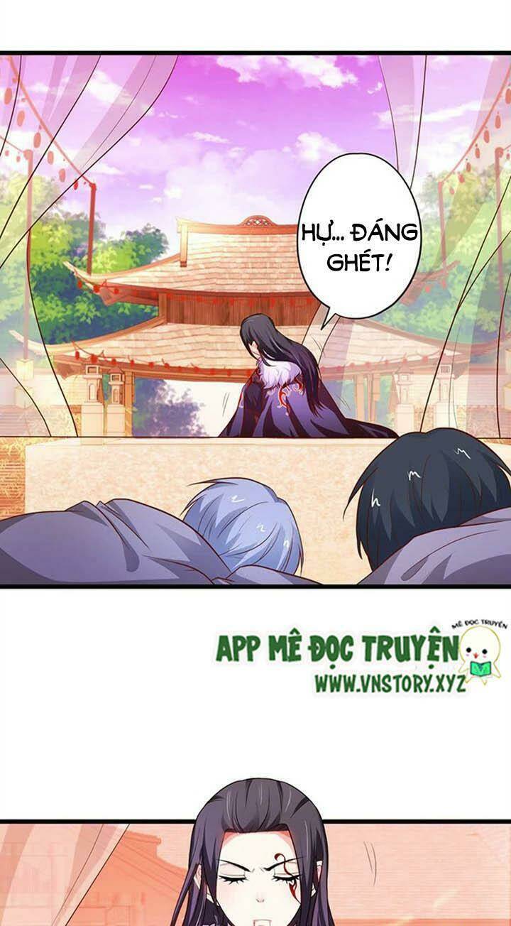 Chapter 146