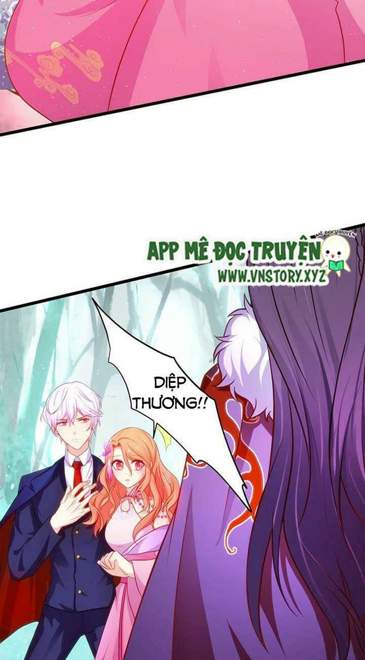 Chapter 146