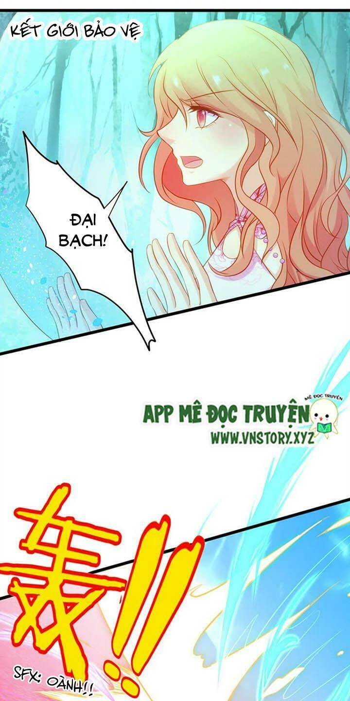 Chapter 146