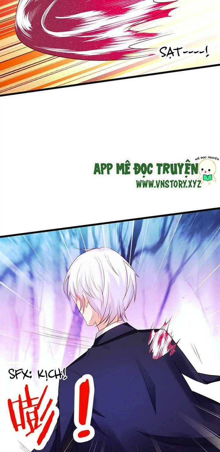 Chapter 146