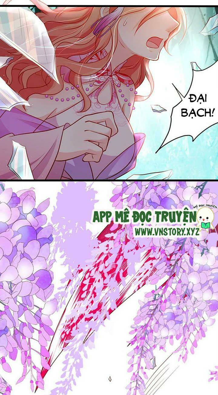 Chapter 146