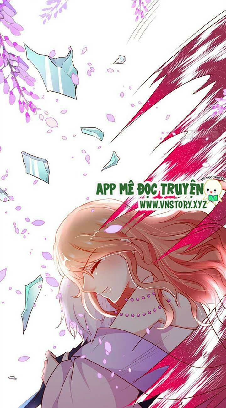 Chapter 146