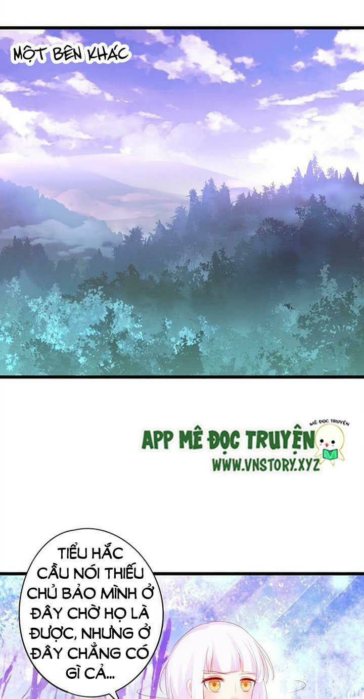 Chapter 146