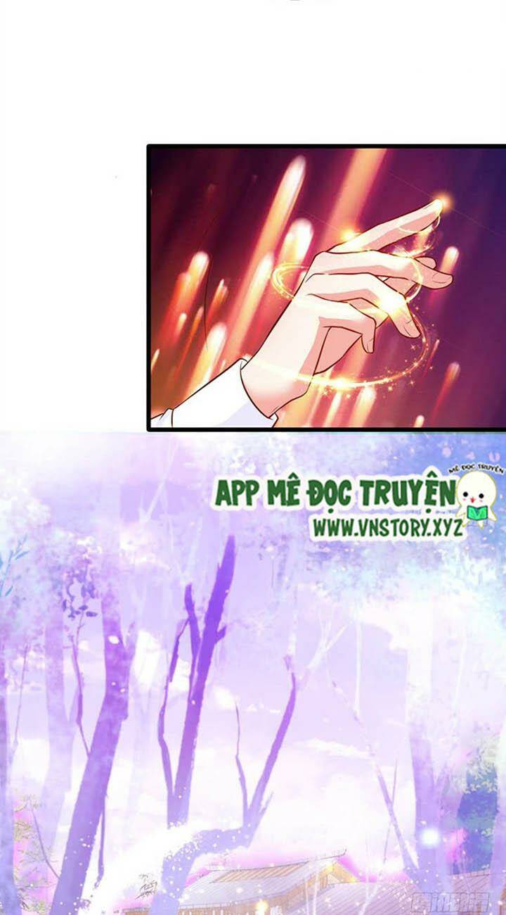 Chapter 146