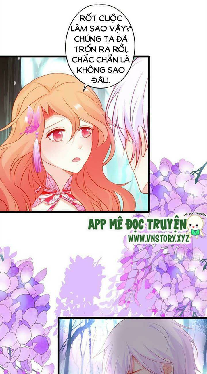 Chapter 146