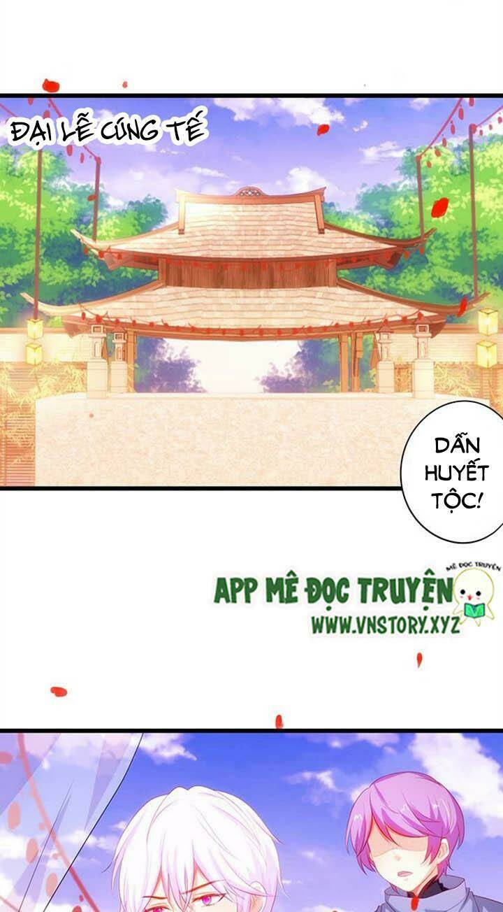 Chapter 145