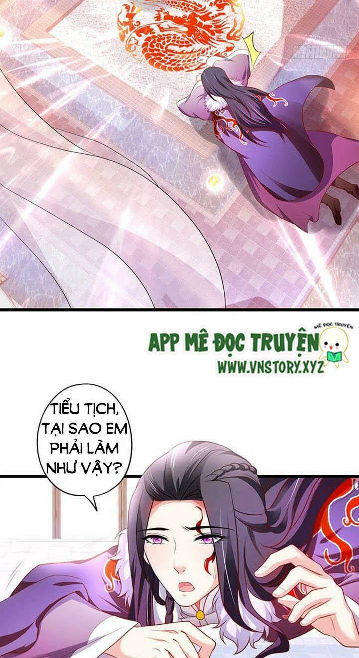 Chapter 145