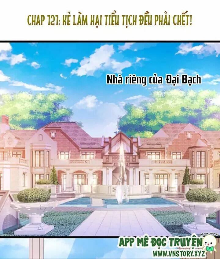 Chapter 121