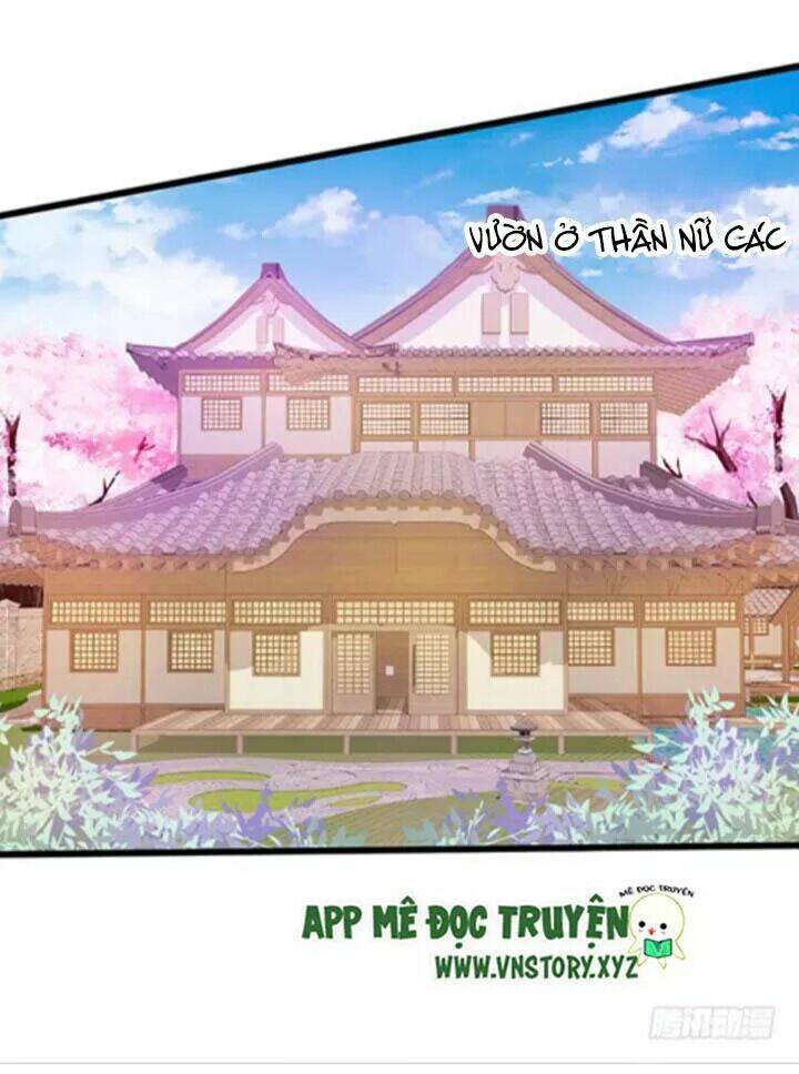 Chapter 117