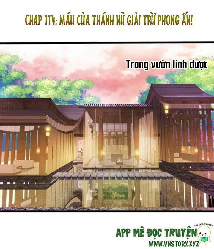 Chapter 114