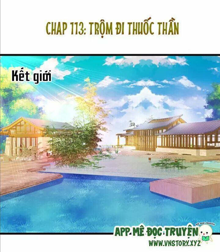 Chapter 113