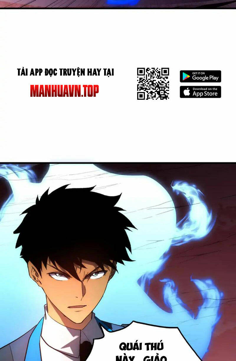 Chapter 246