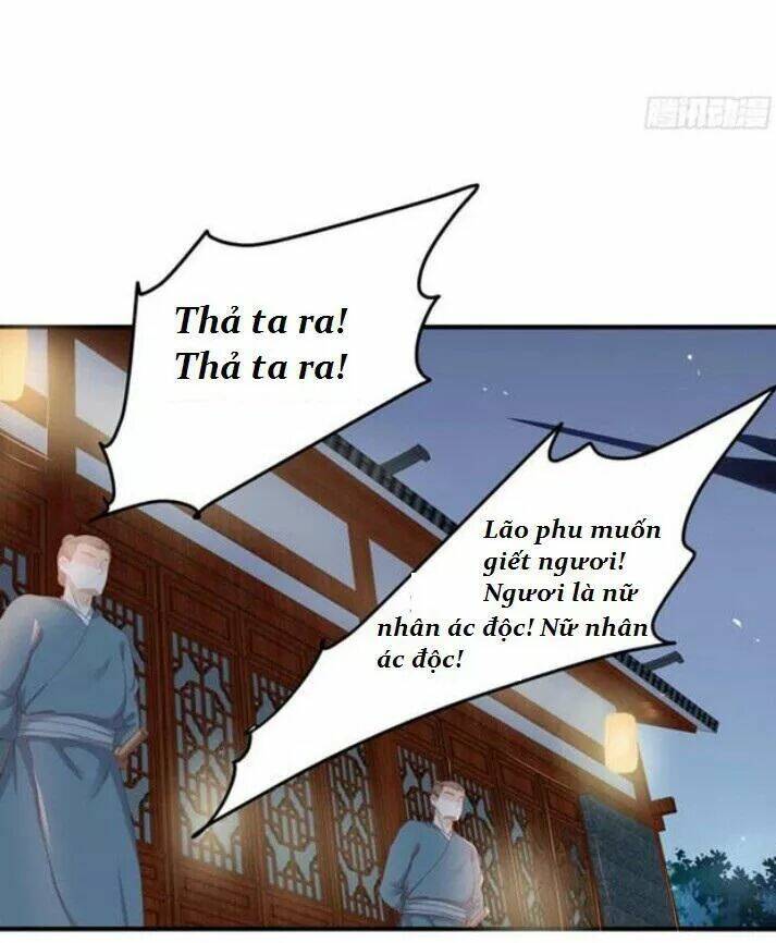 Chapter 66