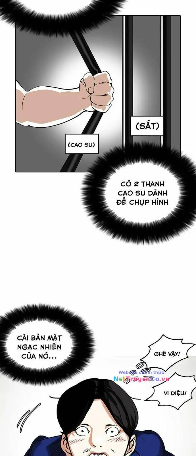 Chapter 146